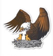 Eagle & Nest-MM